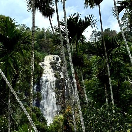Cozy Homestay Waterfall Road 엘라 외부 사진