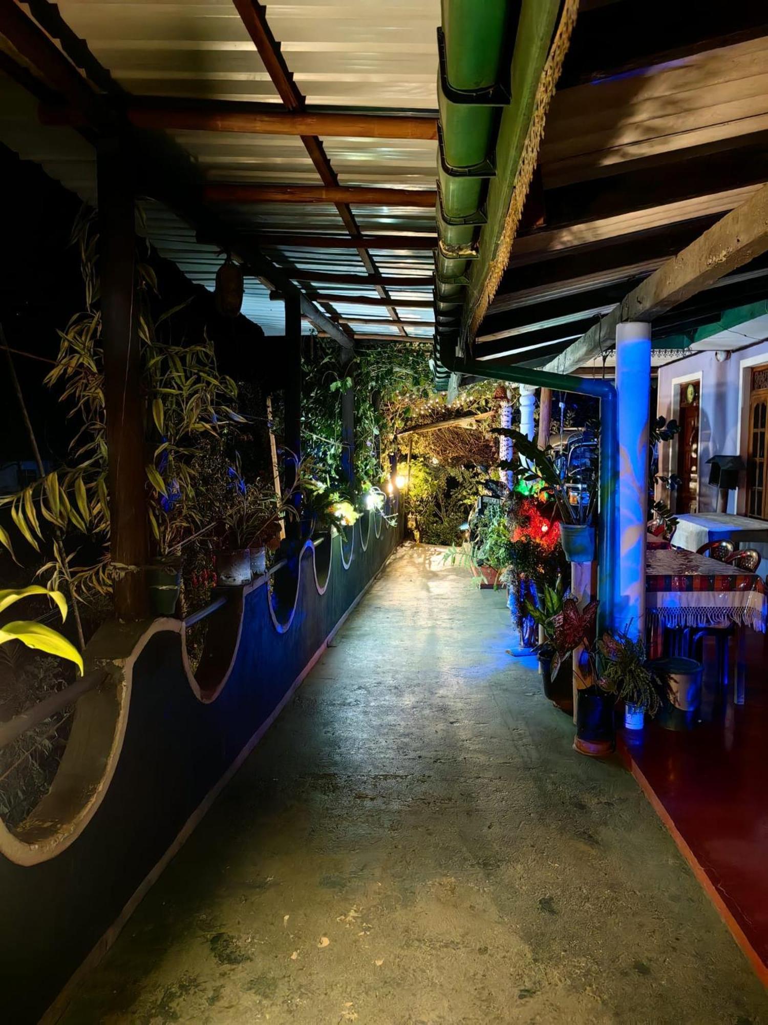 Cozy Homestay Waterfall Road 엘라 외부 사진