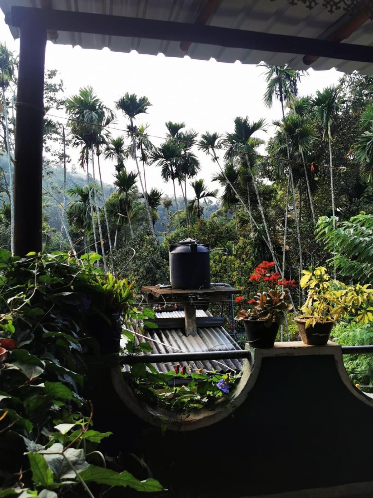 Cozy Homestay Waterfall Road 엘라 외부 사진