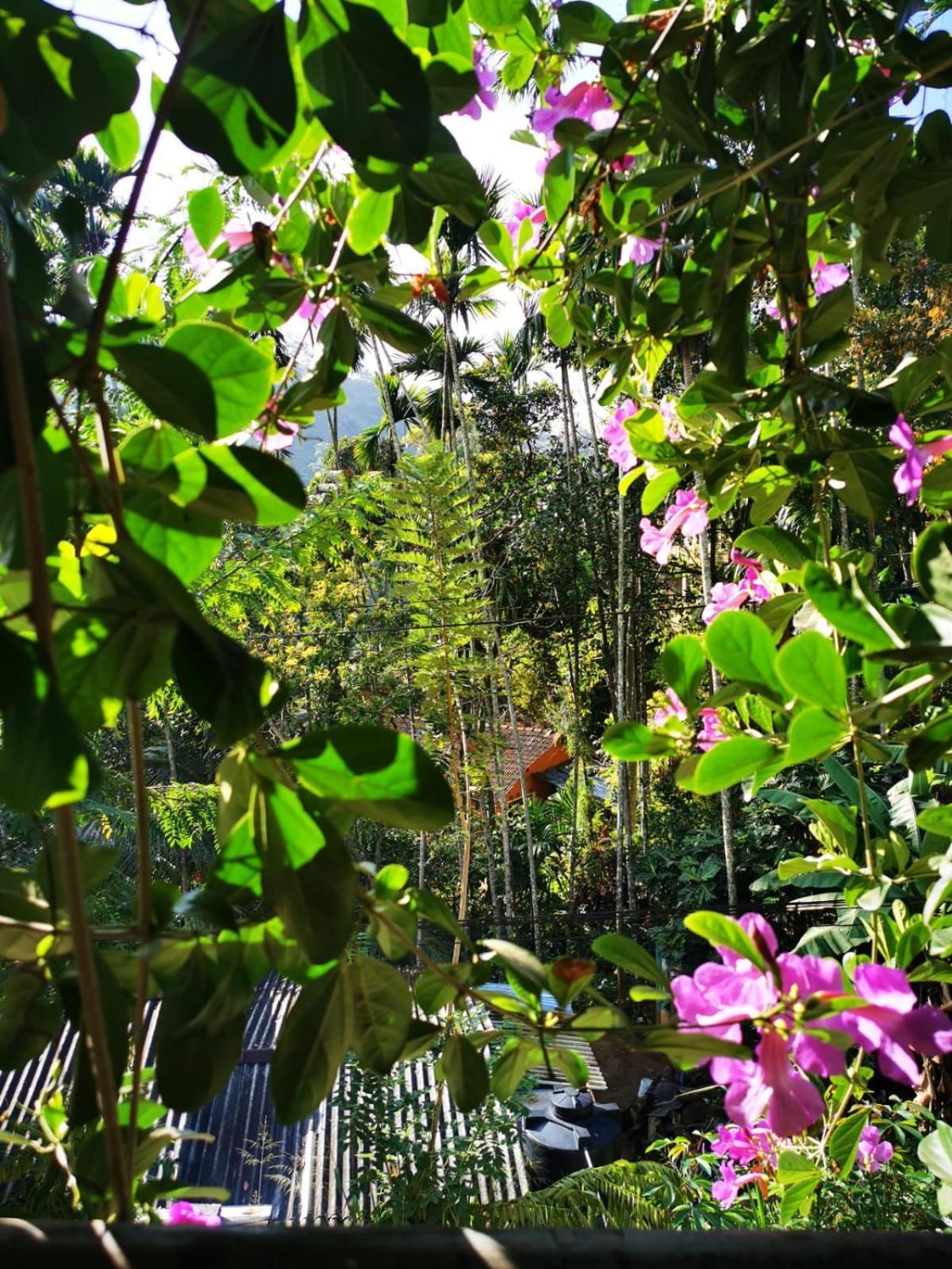 Cozy Homestay Waterfall Road 엘라 외부 사진