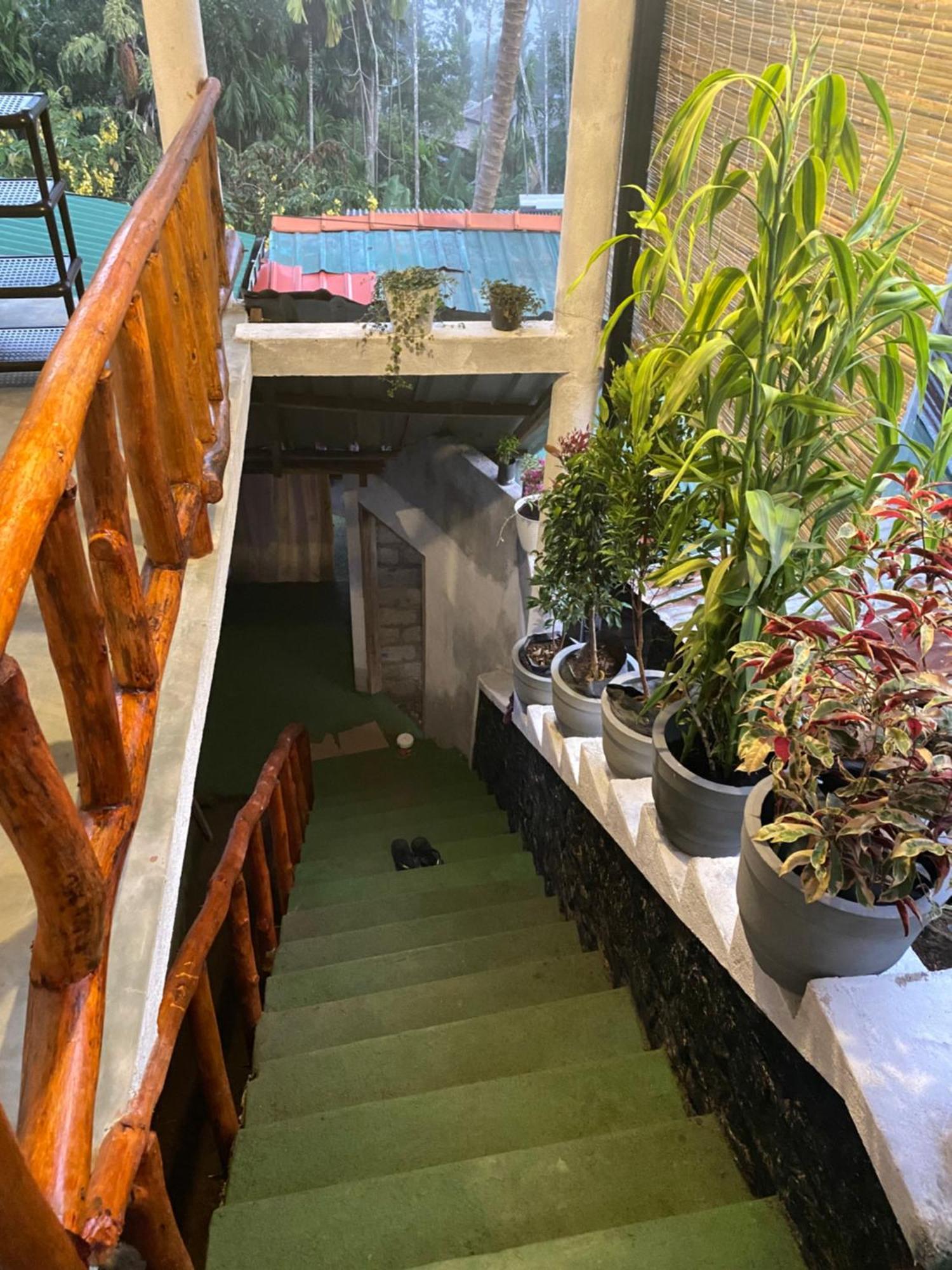 Cozy Homestay Waterfall Road 엘라 외부 사진