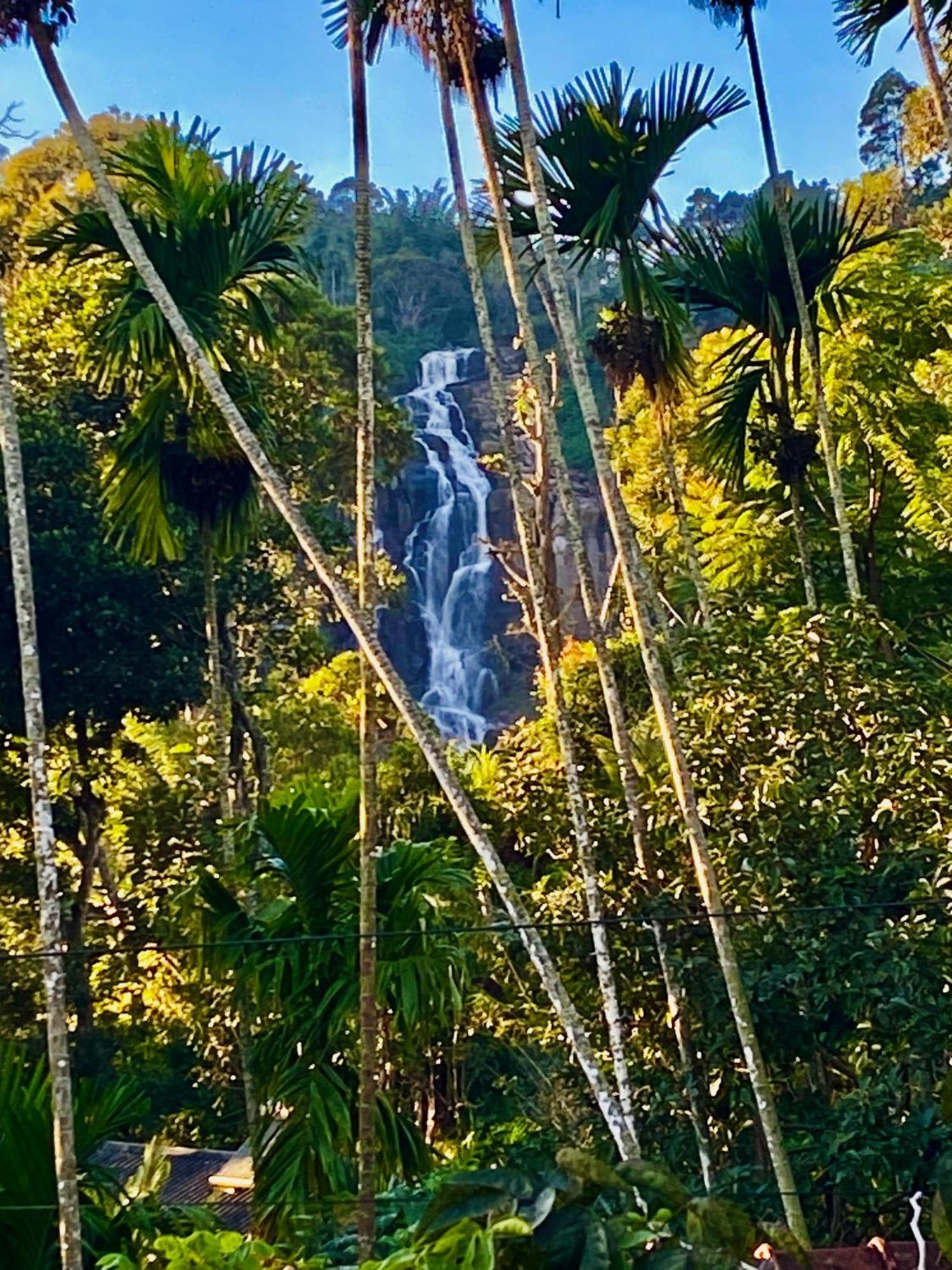 Cozy Homestay Waterfall Road 엘라 외부 사진