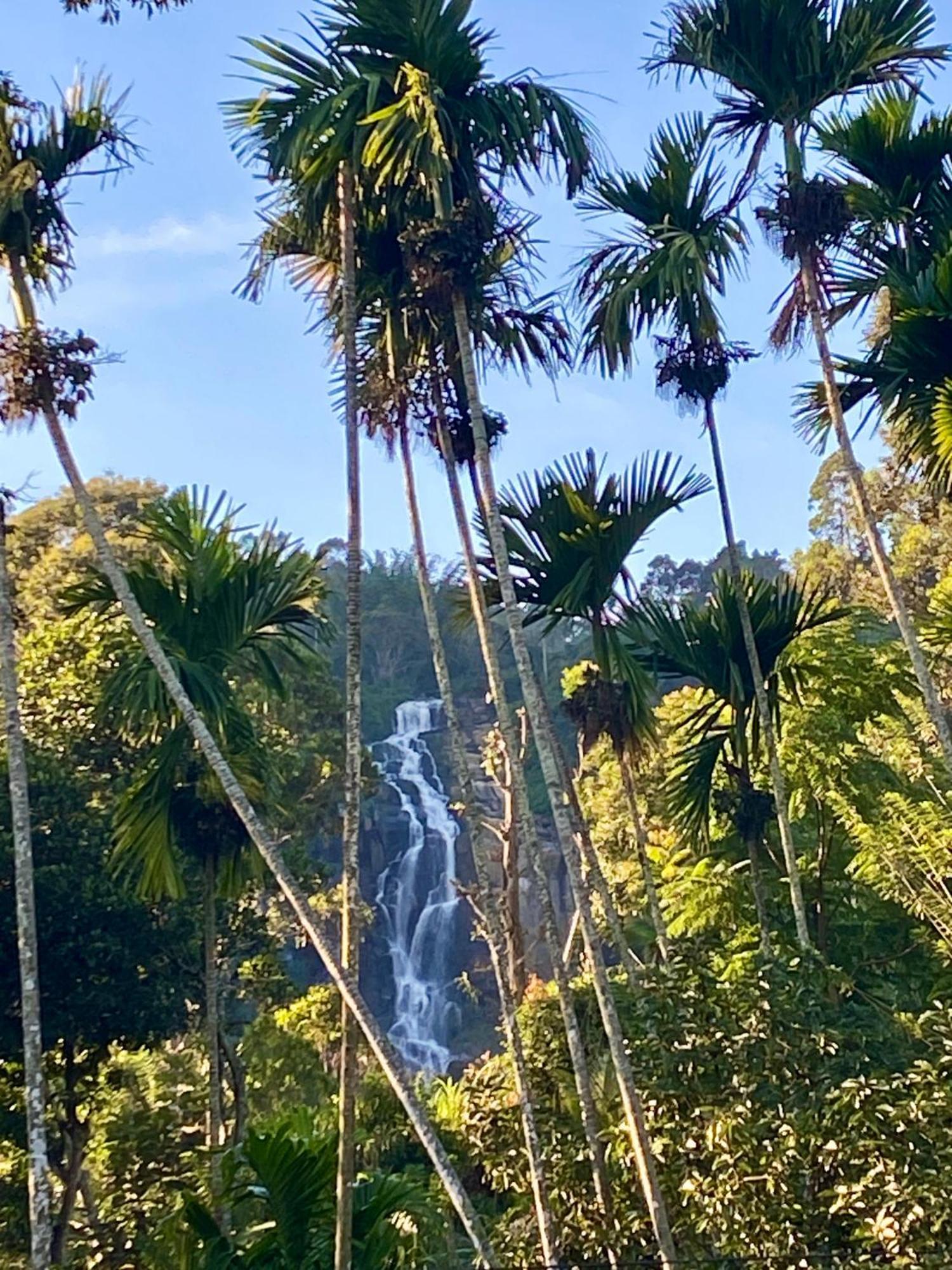 Cozy Homestay Waterfall Road 엘라 외부 사진