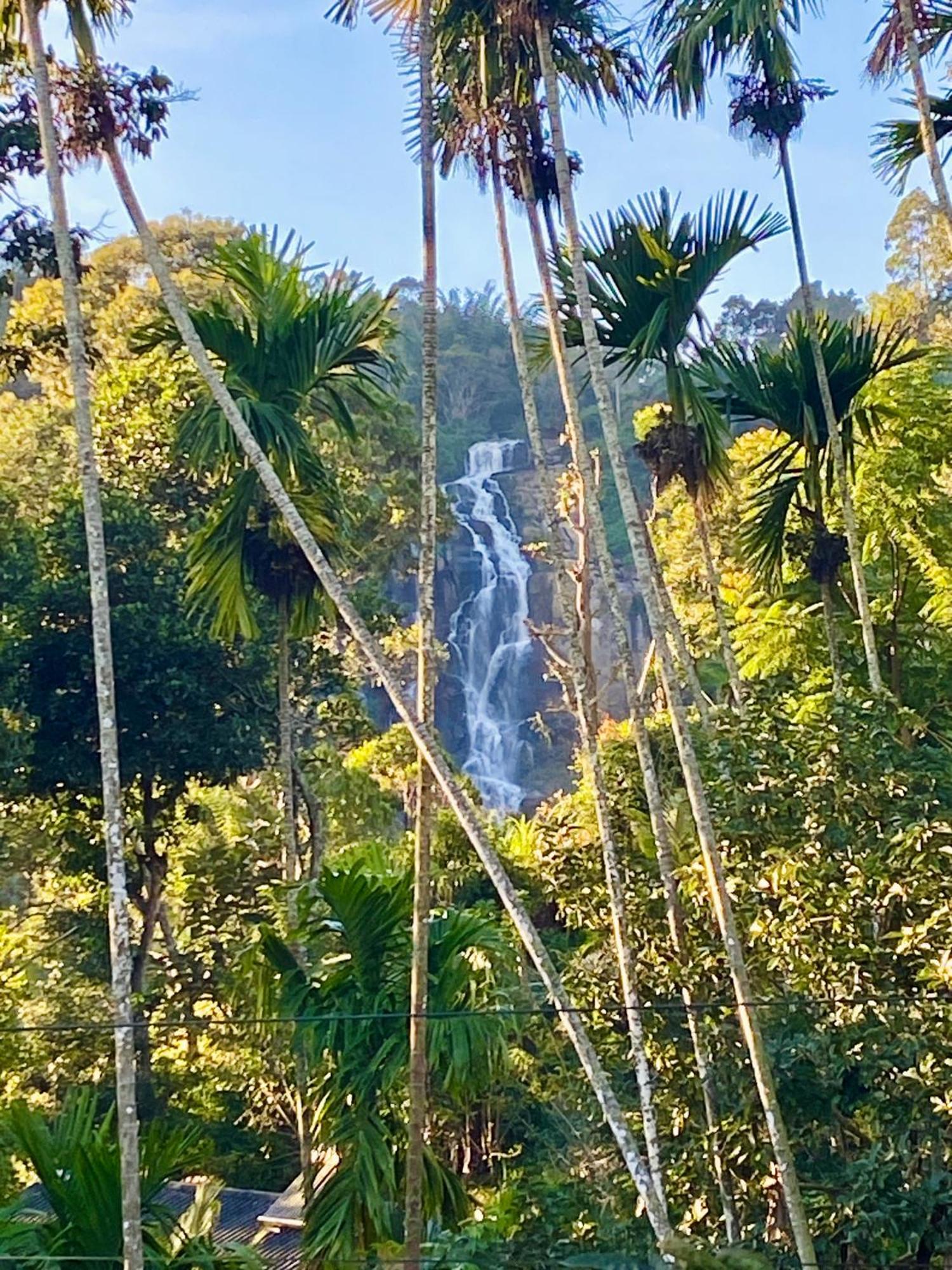Cozy Homestay Waterfall Road 엘라 외부 사진